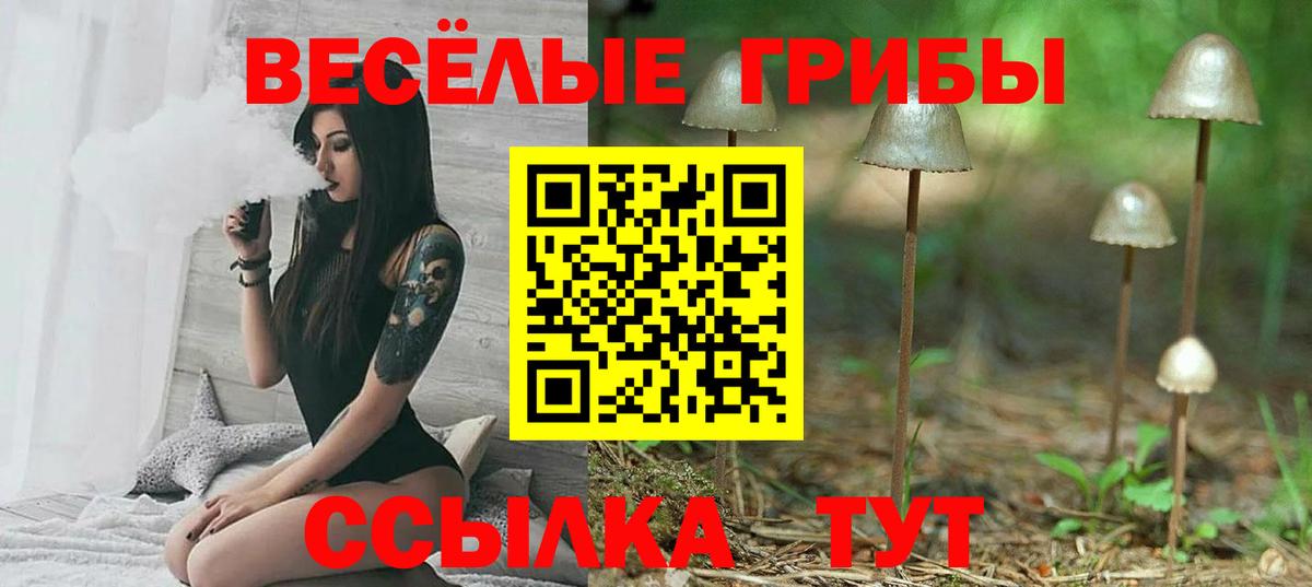 Уварово  Псилоцибиновые грибы прущие грибы  Галлюциногенные грибы ЛСД  Вход с VPN 